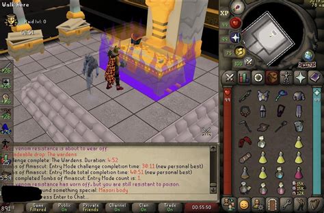 Mixed Hide Better than Bandos at TOA! : r/2007scape .